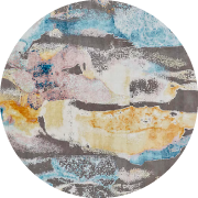 Multicolor Rugs