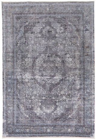 Sarrant Transitional Medallion - Gray/Silver/Ivory