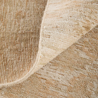 The Rug Corner Feizy Loralai Traditional Oriental - Tan/Ivory  