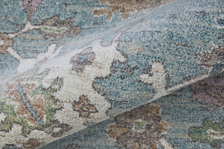 The Rug Corner Feizy Dartmouth Transitional Floral & Botanical - Blue/Ivory/Brown  