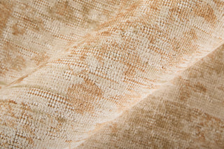 The Rug Corner Feizy Loralai Traditional Oriental - Tan/Ivory  