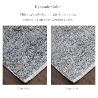 Sarrant Transitional Distressed - Gray/Silver/Ivory