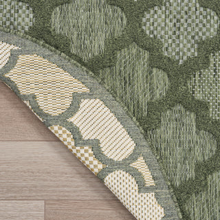 The Rug Corner Nourison Home Easy Care NES01 GREEN Area Rugs  