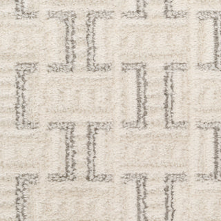 The Rug Corner Nourison Home Nordic NRC01 IVGRY Area Rugs  