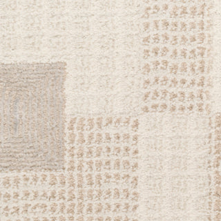 Nourison Home - Nordic Ivory/Beige Area Rug NRC05