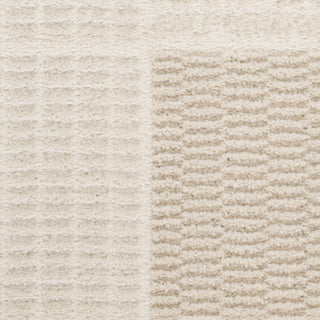 Nourison Home - Nordic Ivory/Green Area Rug NRC07