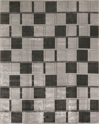 The Rug Corner Nourison Home Nordic NRC09 GRYBK Area Rugs  