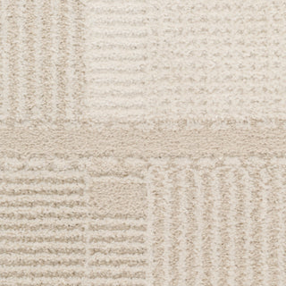 Nourison Home - Nordic Ivory/Beige Area Rug NRC09