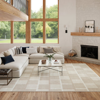 The Rug Corner Nourison Home Nordic NRC09 IVTAU Area Rugs  