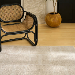 Nourison Home - Nordic Taupe Area Rug NRC11