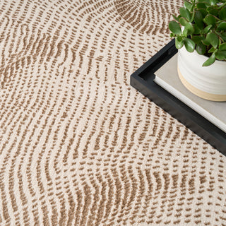 The Rug Corner DKNY Central Park West CEP01 BGEBN Area Rugs  