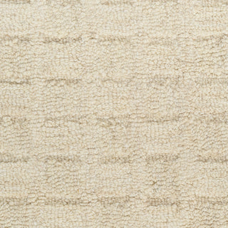 Pure Grids PGR01 IVBGE Area Rugs