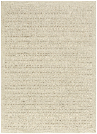 Pure Grids PGR01 IVBGE Area Rugs