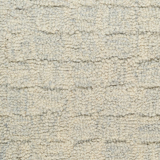 The Rug Corner DKNY Pure Grids PGR01 LTBLU Area Rugs  