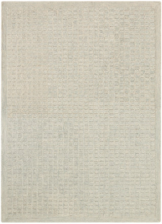 The Rug Corner DKNY Pure Grids PGR01 LTBLU Area Rugs  
