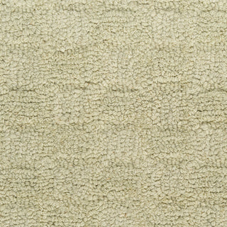 Pure Grids PGR01 LTGRN Area Rugs