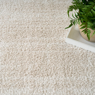The Rug Corner Nourison Home Nourison Home - Modern Shag Ivory/Beige Area Rug MMD04  