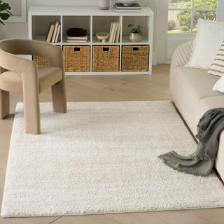 The Rug Corner Nourison Home Nourison Home - Modern Shag Ivory/Beige Area Rug MMD04  