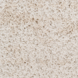 The Rug Corner Nourison Home Nourison Home - Modern Shag Ivory/Beige Area Rug MMD04  
