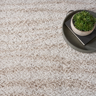 The Rug Corner Nourison Home Modern Shag MMD05 IVBGE Area Rugs  