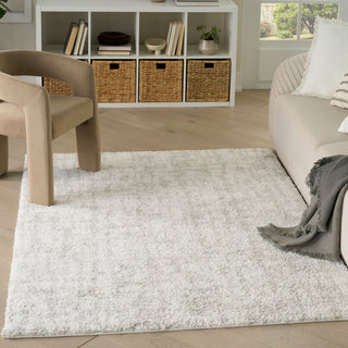The Rug Corner Nourison Home Modern Shag MMD06 IVGRY Area Rugs  