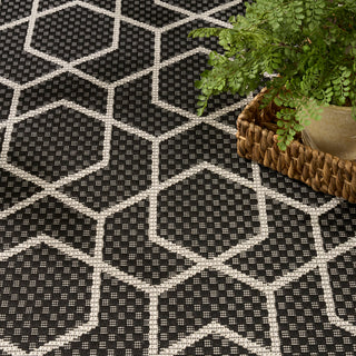 The Rug Corner Nourison Home Horizon Indoor/Outdoor 2' x 3' Black Area Rug Horizon Indoor/Outdoor HOZ01 BLACK Area Rugs  