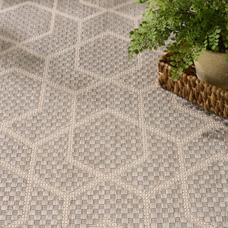 The Rug Corner Nourison Home Horizon Indoor/Outdoor HOZ01 GREY Area Rugs  