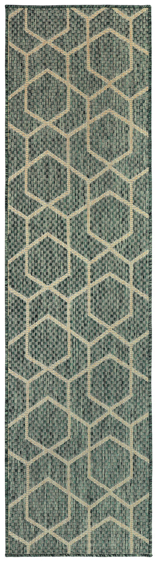 The Rug Corner Nourison Home Horizon Indoor/Outdoor HOZ01 GREEN Area Rugs  