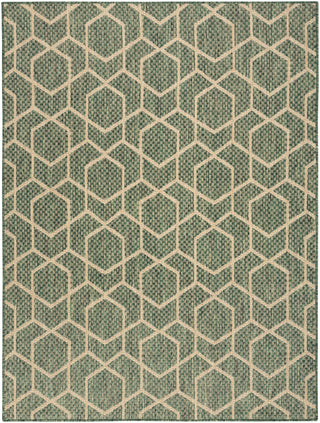 The Rug Corner Nourison Home Horizon Indoor/Outdoor HOZ01 GREEN Area Rugs  