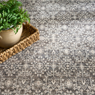 The Rug Corner Nourison Home Shadows SHW04 CHAIV Area Rugs  