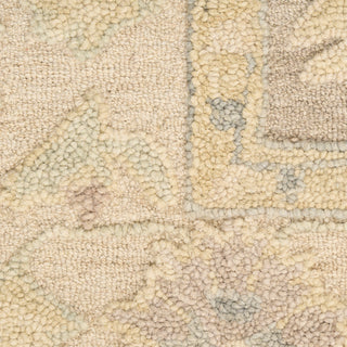 The Rug Corner Nourison Home Maison MSO01 TAUIV Area Rugs  