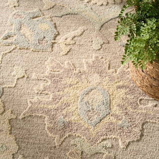 The Rug Corner Nourison Home Maison MSO01 TAUIV Area Rugs  