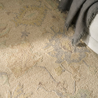 The Rug Corner Nourison Home Maison MSO02 IVORY Area Rugs  