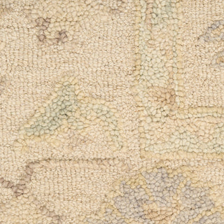 The Rug Corner Nourison Home Maison MSO02 IVORY Area Rugs  