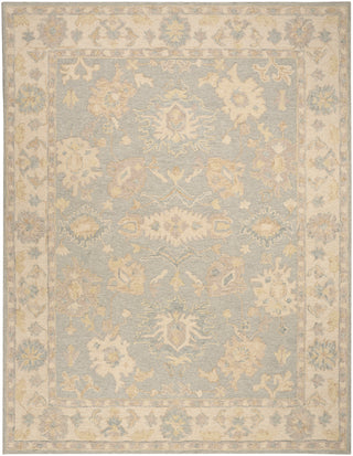 The Rug Corner Nourison Home Maison MSO03 BLUIV Area Rugs  