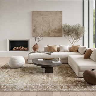 The Rug Corner Nourison Home Astra Machine Washable ASW11 RUSMT Area Rugs  