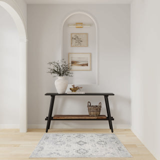 The Rug Corner Nourison Home Astra Machine Washable ASW19 IVORY Area Rugs  
