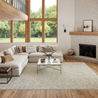 The Rug Corner Nourison Home Washable Charm WCH02 SILIV Area Rugs  