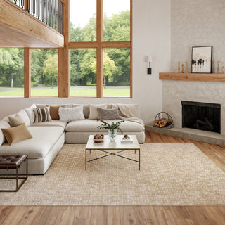 The Rug Corner Nourison Home Nourison Home - WAshable Charm Beige/Ivory Area Rug WCH02  