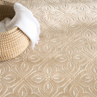 The Rug Corner Nourison Home Washable Charm WCH03 BGEIV Area Rugs  