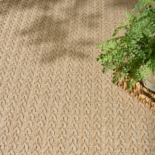 The Rug Corner Nourison Home Tulum TLM02 TAUPE Area Rugs  