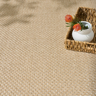 The Rug Corner Nourison Home Nourison Home - Tulum Taupe Area Rug TLM03  
