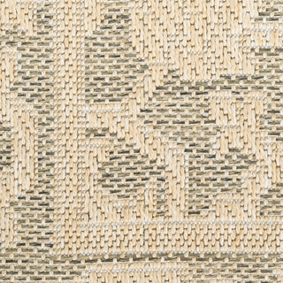 The Rug Corner Nourison Home Tulum TLM05 TAUOL Area Rugs  