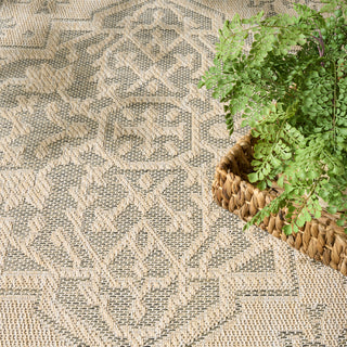 The Rug Corner Nourison Home Tulum TLM05 TAUOL Area Rugs  