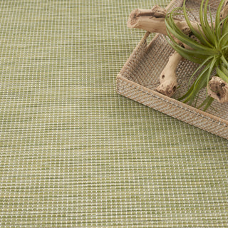 The Rug Corner Nourison Home Nourison Home - Positano Green Area Rug POS01  