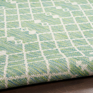 The Rug Corner Nourison Home Positano POS02 BLUGN Area Rugs  
