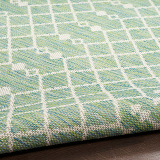 The Rug Corner Nourison Home Positano POS02 BLUGN Area Rugs  