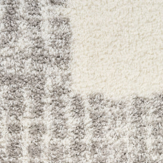 Nourison Home - Pacific Shag Ivory/Green Area Rug PCS02