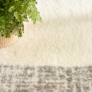 Nourison Home - Pacific Shag Ivory/Green Area Rug PCS02