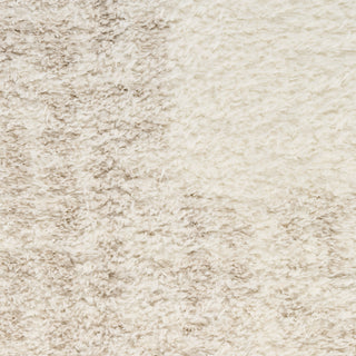 The Rug Corner Nourison Home Pacific Shag PCS02 IVBGE Area Rugs  